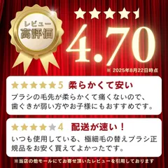 Braun Oral-B 純正 ブラウン オーラルB やわらか極細毛 ブラシ SENSITIVE CLEAN 極細毛 替えブラシ オーラルビー oralb 交換ブラシ 交換歯ブラシ EB60 替ブラシ スペア センシティブクリーン 正規品 2本セット