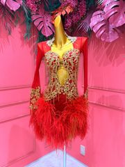 社交ダンス gentil ジャンティ ドレスバッグ 大 SD スタンダードドレス