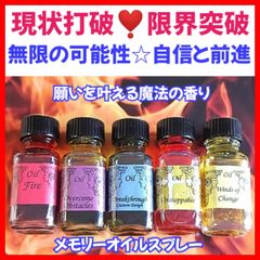販売に対する自信をさらに上げる❣️✨️メモリーオイルスプレー大容量 
