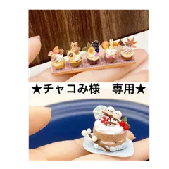 ★チャコみ様　専用★　シマエナガさんケーキ