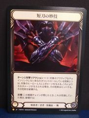 フレッシュアンドブラッド】Phantasmal Footsteps RF English 英語版