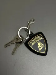 ◼️本日削除予定。Lamborghini キーレスエントリーキー ◼️本日削除予定。Lamborghini キーレスエントリーキー 2025年最新