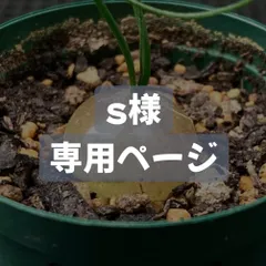 s様専用ページ