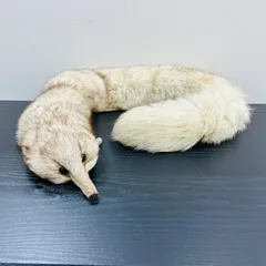 2025年最新】ミンク 毛皮 白の人気アイテム - メルカリ