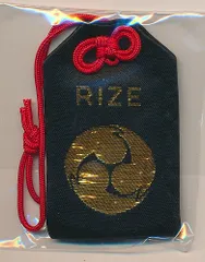 2026年最新】RIZE soluの人気アイテム - メルカリ