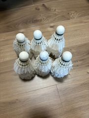 Item thumbnail for item d34f659e-b5a8-40b9-a4e2-a32c8682b1d0