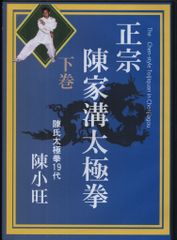 中国拳法 形意拳 八卦掌 カンフー DVD 孫式太極拳 4枚 日本語
