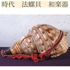 2026年最新】法螺貝 和楽器の人気アイテム - メルカリ