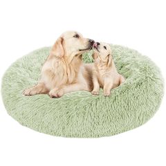 Item thumbnail for item ada47216-cd39-42a6-831e-921ef22c3872