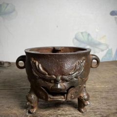 新品未使用 富貴蘭 山野草 鉢 龍の鉢 盆栽 - メルカリ