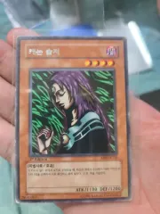 2025年最新】遊戯王 韓国 1stの人気アイテム - メルカリ