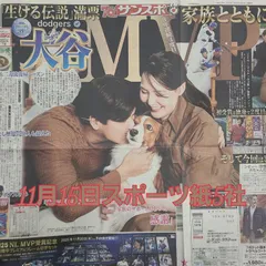 匿名配送！送料込み！  11月15日 朝刊　 スポーツ紙全5社