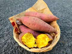 〖農家直送〗鹿児島県産　新芋　紅はるか　2Ｌサイズ　5kg