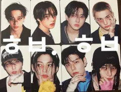 Stray Kids(ストレイキッズ・スキズ・SKZ) SKZOO バージョン アルバムトレカ 8枚 セット