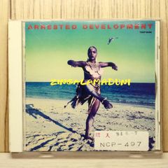 輸入盤美品☆arto lindsay/salt/アートリンゼイ - メルカリ
