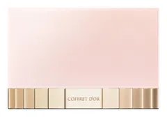 コフレドール パウダーファンデーション用 ケース 