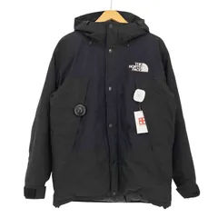 ザノースフェイス THE NORTH FACE GORE-TEX Mountain Down Jacket  ゴアテックス マウンテンダウンジャケット メンズ import：M 