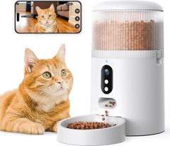 Item thumbnail for item 9c26f7de-dab5-4917-8d63-ce00ec16367f