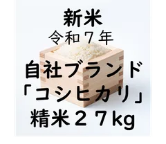 【新米 一等米】できる限り農薬削減 ゆったり便割引 農家直送　富山県産令和７年コシヒカリ　精米27kg/27キロ  送料無料
