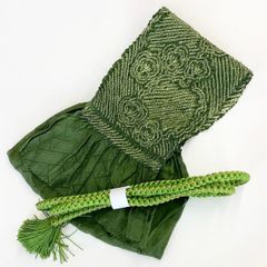 Item thumbnail for item 2ee268f1-bb59-4180-bef1-0b9c7123ebc5