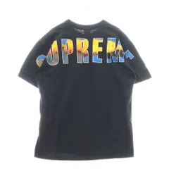 2025年最新】supreme バックプリントの人気アイテム - メルカリ
