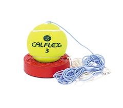 Item thumbnail for item ffb9cf26-b63c-4b4b-8d01-9328e726f060