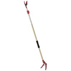 Item thumbnail for item 69e1937b-c46b-4a3e-b2a0-ea865cb0fd19