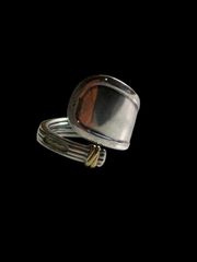 特注・極希少【Howard Nelson】ワイド フェザー リング 21号 - メルカリ