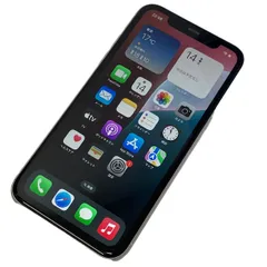 Apple iPhone 11 64GB MWLU2J/A docomo ○判定 ホワイト スマートフォン スマホ バッテリー最大容量75% 【ジャンク】 32511K105