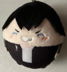 進撃の巨人 ふわコロりん ミカサ - メルカリ