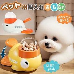 Item thumbnail for item 336419e5-d8f6-4ef0-b075-2079d8483ad1