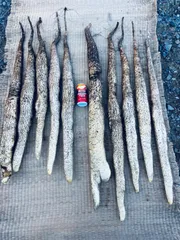 2026年最新】自然薯の人気アイテム - メルカリ