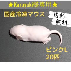 ☆Kazuyuki様専用☆国産冷凍マウス ピンクL 20匹(送料無料一部地域発送