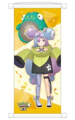 【中古】タペストリー ナンジャモ バディーズ リバーシブルミニタペストリー 「ポケモンマスターズ EX」