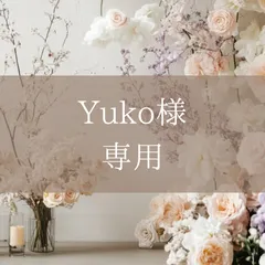 【Yuko様専用】A7クリアバインダー(ピンクゴールド・パープル)2点セット