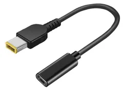 Type-C変換 電源変換アダプター 65W対応 トリガープラグ(20V) (11.0×4.5mm LENOVO/NEC/ThinkPad X1) [11.0×4.5mm LENOVO/NEC/ThinkPad X1]