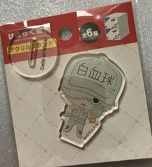 50人クラフト 人気投票シャカシャカアクリル カジノクラフト ニュー