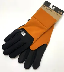 値下げ❗️未使用NORTH FACEノースフェイス イーチップグローブ NN62527 Lユニセックス手袋 アウトドア