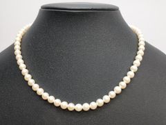 Item thumbnail for item afcd8752-d395-424f-bab4-b22632a3456d