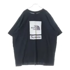 SUPREME (シュプリーム) 24SS ×THE NORTH FACE S/S Top ザノースフェイス バックロゴ半袖Tシャツ ブラック カットソー NT024121