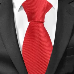 【1～3日以内に発送！】撮影用アイテム コスプレアイテム シンプル カラーネクタイ 【レッド】 ★学生コスやアイドルコス、スーツ等に！普段用にもバッチリご使用頂けます！