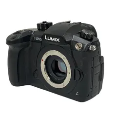 2025年最新】dc-gh5 中古の人気アイテム - メルカリ