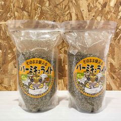 Item thumbnail for item 313c410a-f4bc-4a92-8305-731a1a5ab46b