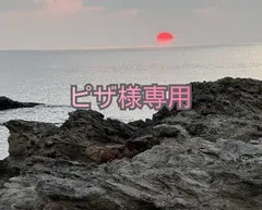 専用です。ピザ様