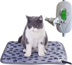 Item thumbnail for item 857f0076-6cb7-48d6-a941-7c1c406fc4a0