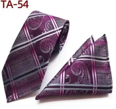 紫色　チェック柄　ペイズリー柄　ネクタイ　ポケットチーフ　2点　セット　パープル色　ストライプ柄　結婚式　発表会　ビジネス　パーティー　イベント　卒業式　入学式　入社式　ダンスパーティー　スーツ ワイシャツ 格安　メンズネクタイ ポケットチーフ　2点セット