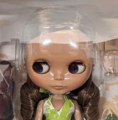 2025年最新】ブライス パラダイスガールの人気アイテム - メルカリ