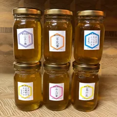 【非加熱・生はちみつ】6種お試しセット・100g×6本