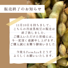 11/11(火)午後収穫 愛知県産 丹波黒豆 枝豆 黒枝豆 莢のみ 300g ネコポスサイズ