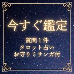 タロット占い一問一答 今すぐ鑑定 恋愛・復縁・結婚・婚活・出会い・仕事・転職・人間関係　霊感霊視　水晶編み込みお守りミサンガ付　ワンコイン　ポイント消化